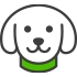 Pet Insurance
